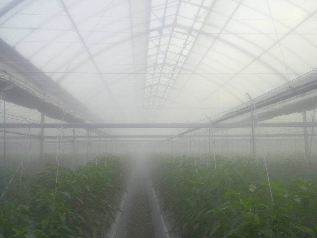 Cannabis Humidification Systems Grow Room Humidifiers