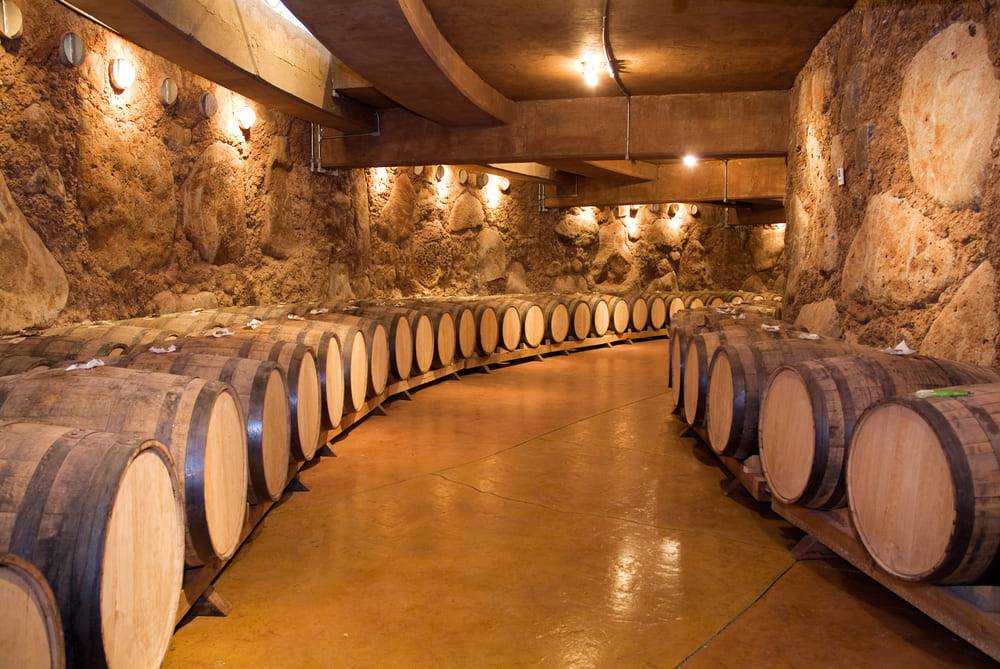 wine barrels in storage wine cellar