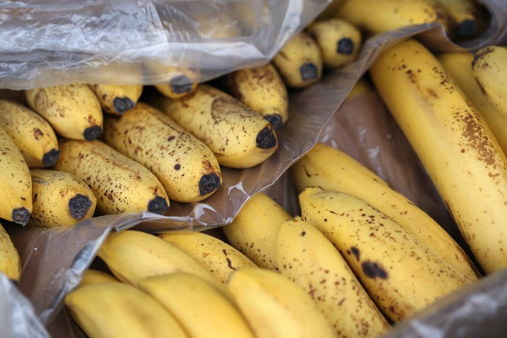 bananas ripening